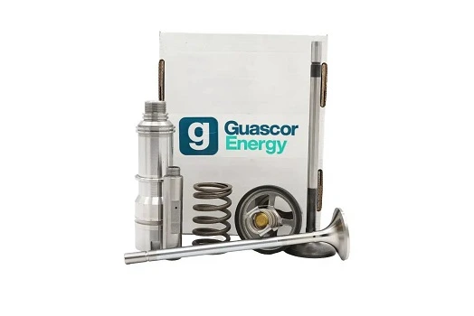 GUASCOR HEAD VALVES